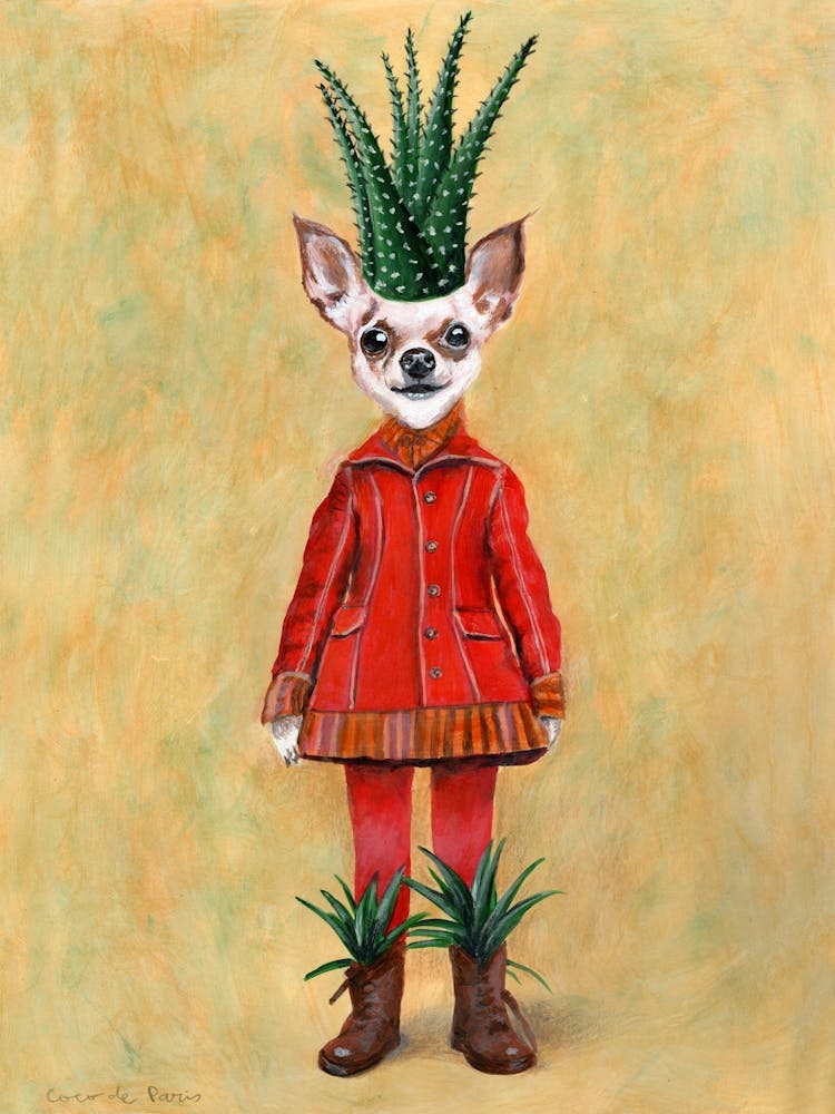 Chihuahua Cactus