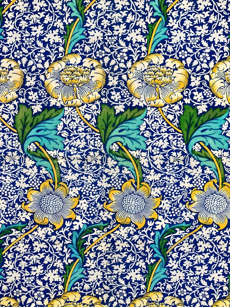 Blue And Yellow Flowers