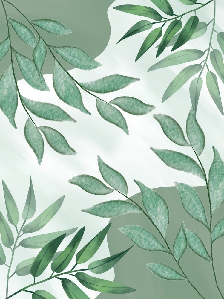 Eucalyptus Leaves 1