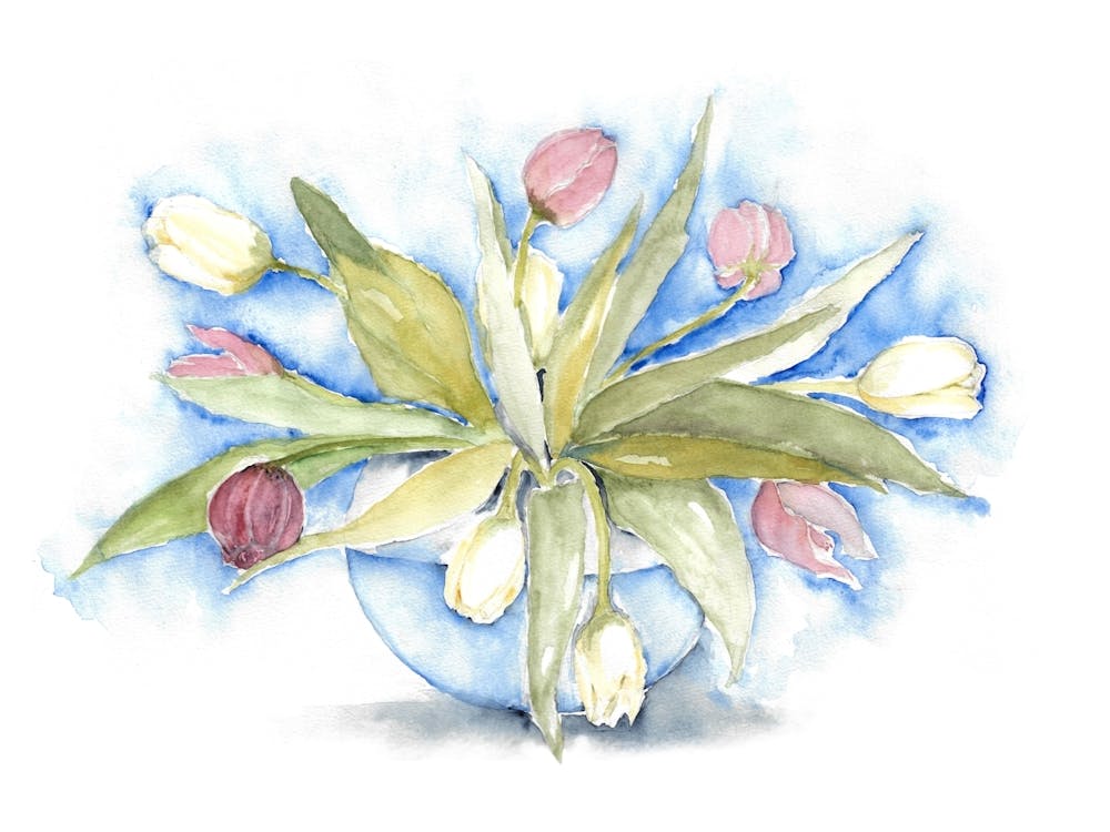 Bouquet Of Tulips In Watercolor