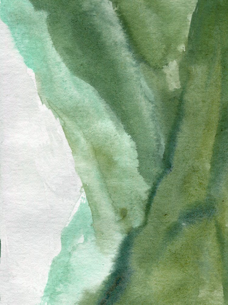 Watercolor Of A Leaf