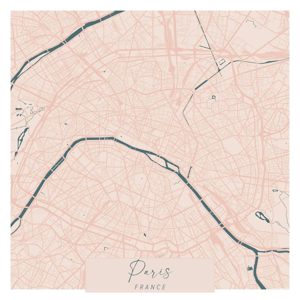 Paris France Pink and Blue Cute Script Street Map