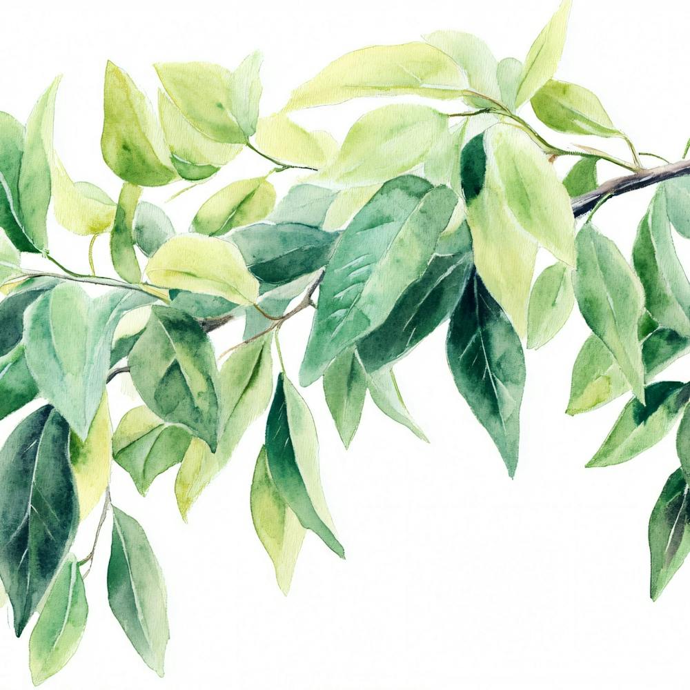 Aquarelle D'une Branche D'arbre