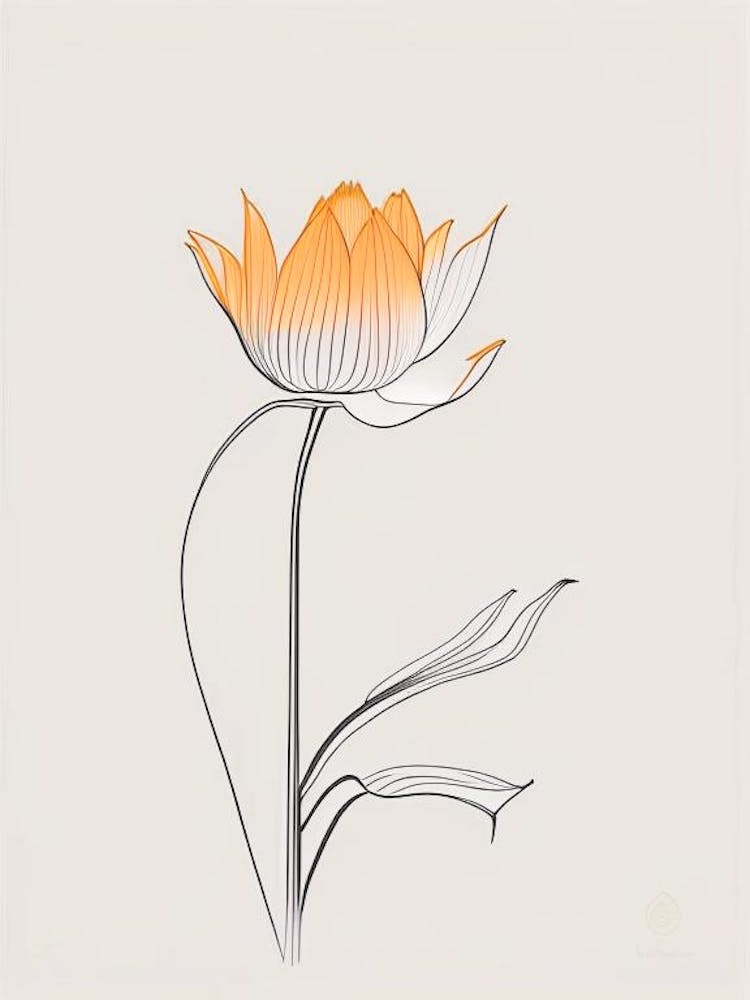 Amur Lotus Minimal Line Drawing 2