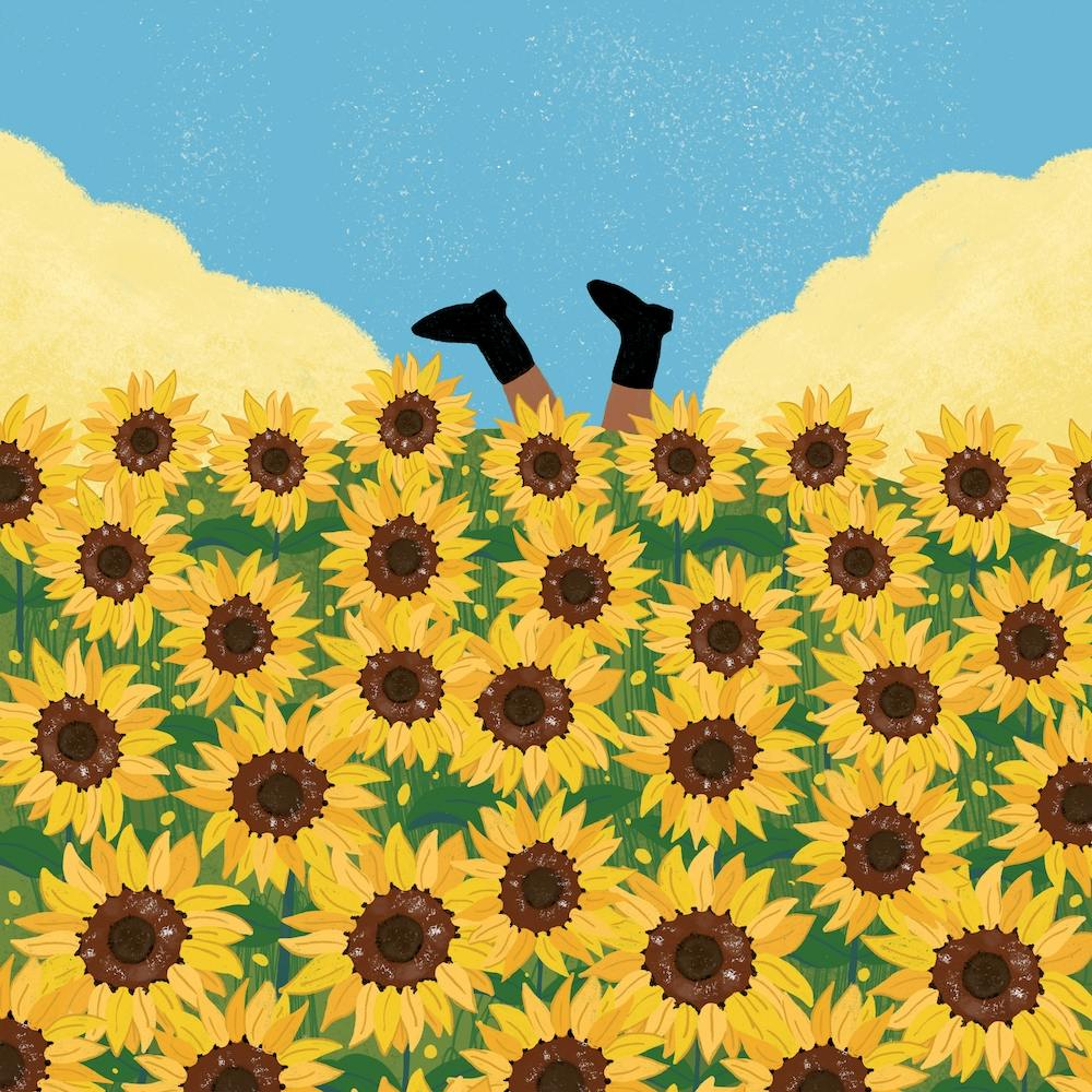 Admist Sunflower Fields Square