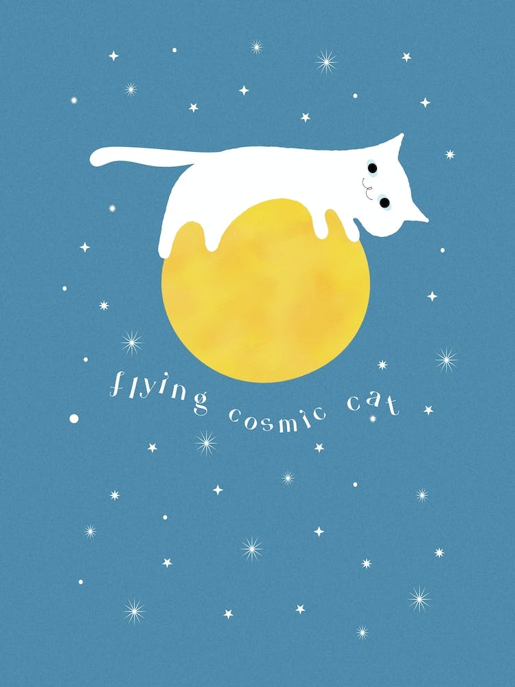 flying cosmic cat - space in the moon