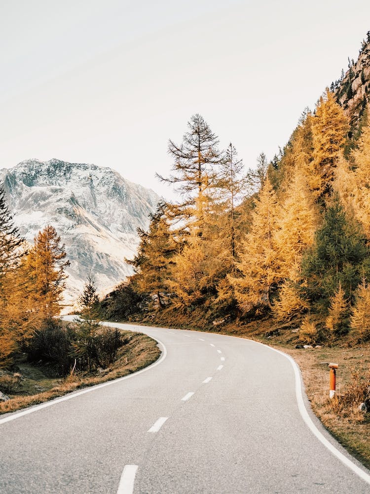 Autumn Mountain Highway