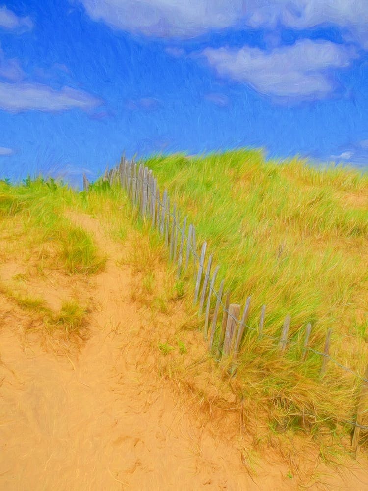 Meandering  Beach Fence