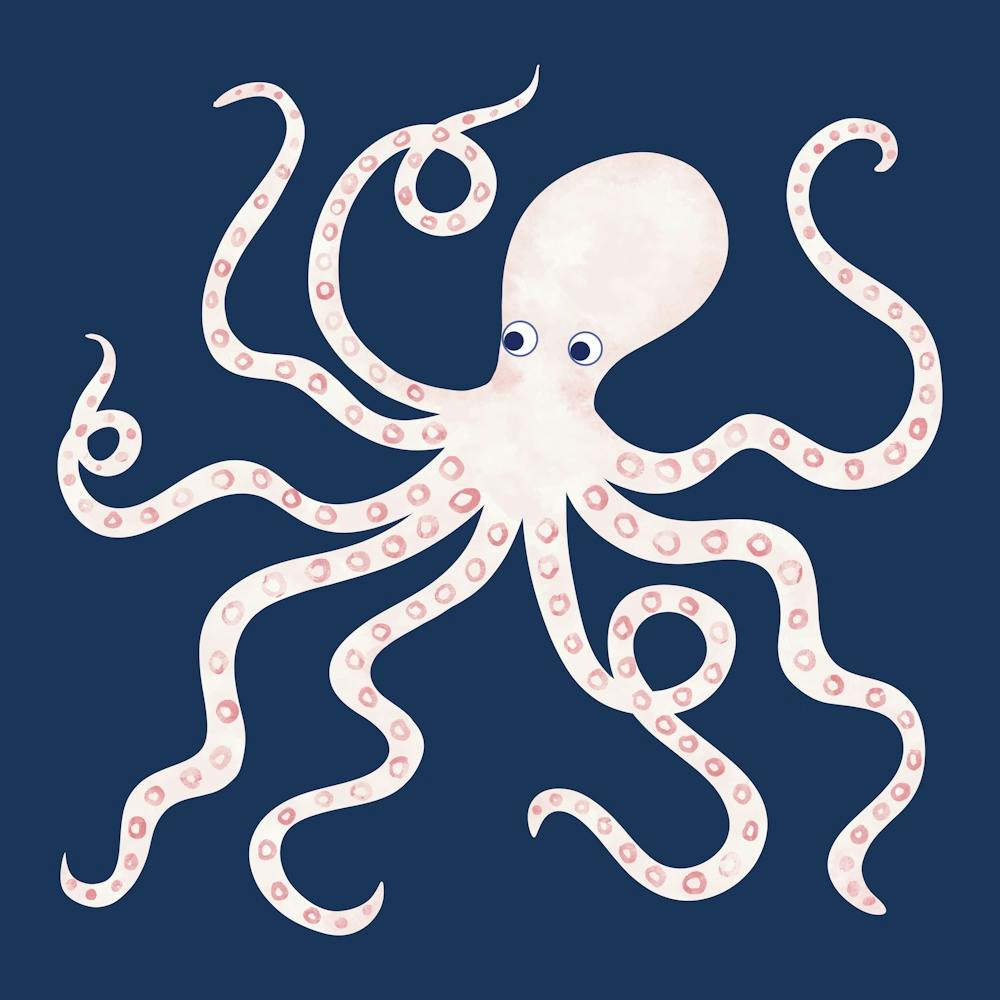 Octopus