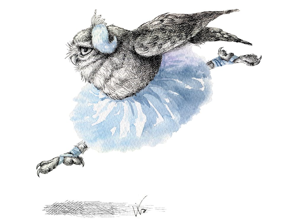 Owl Lake   White Owl