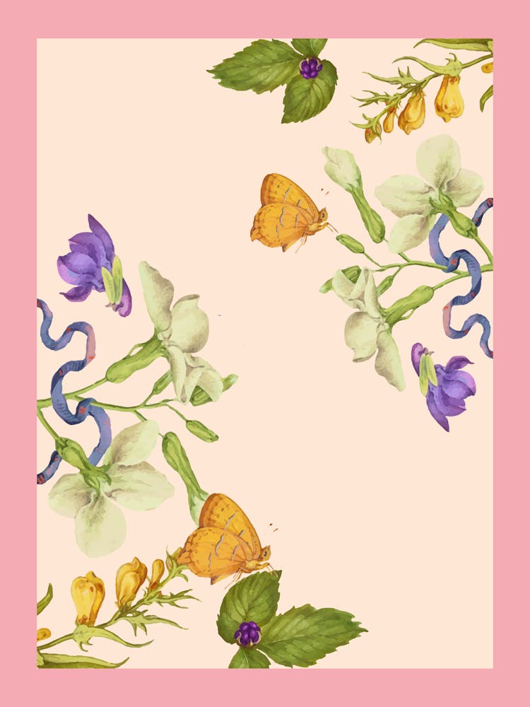 Butterflies And Flowers