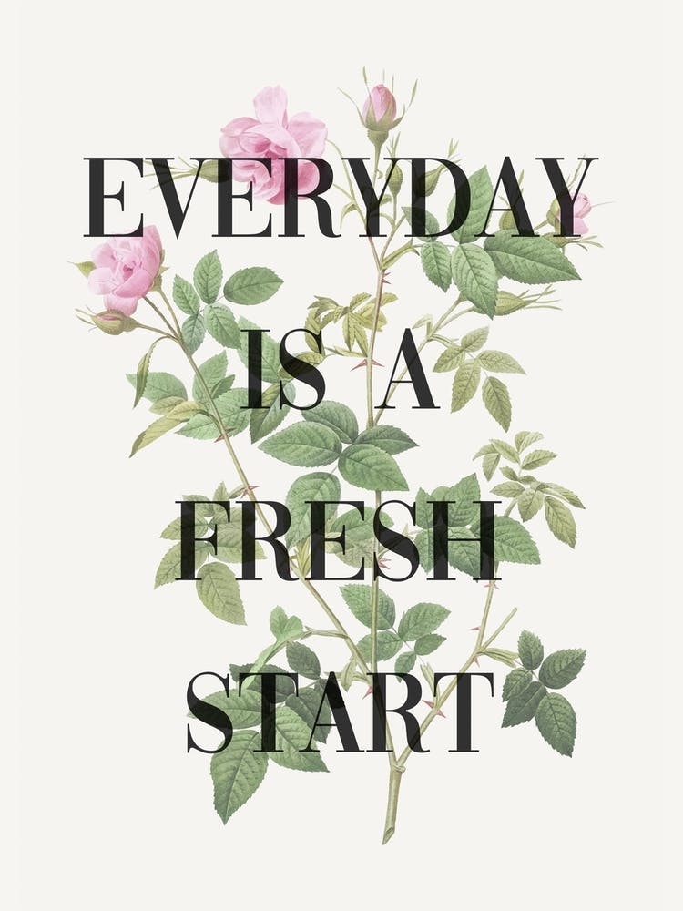 Fresh Start