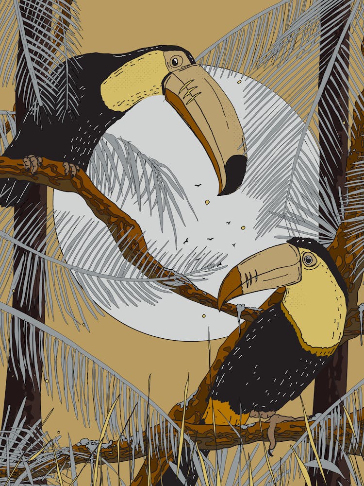 Toucans