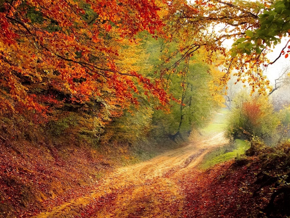 Herbststraße
