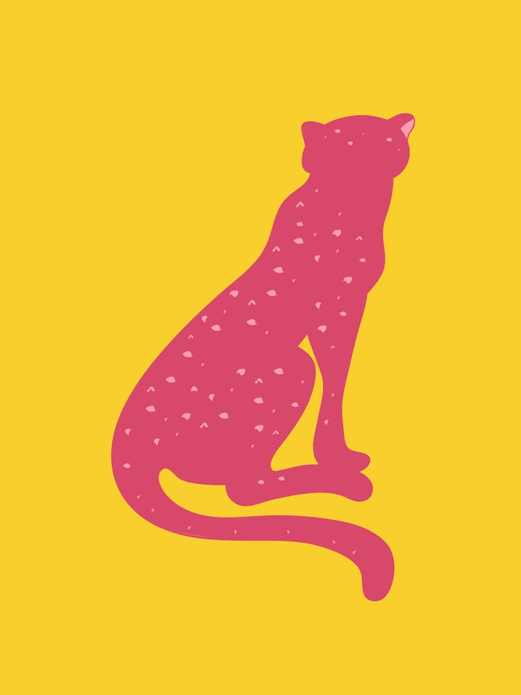 Cheetah