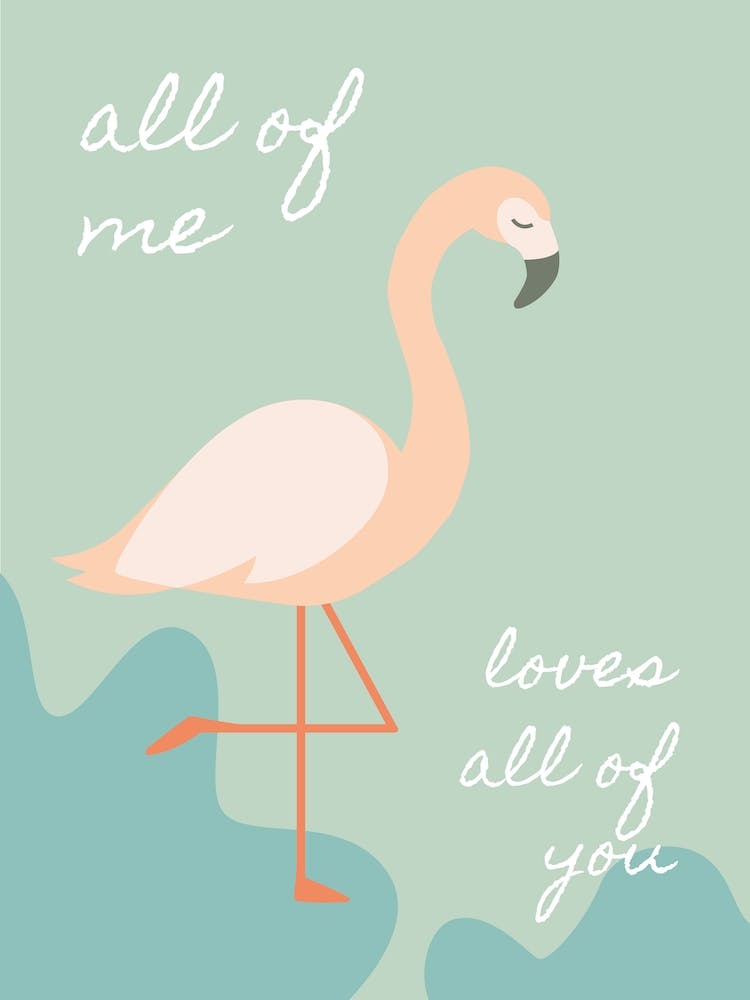 Flamingo Love
