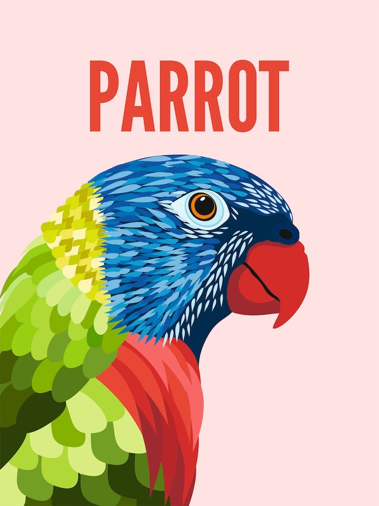 Parrot