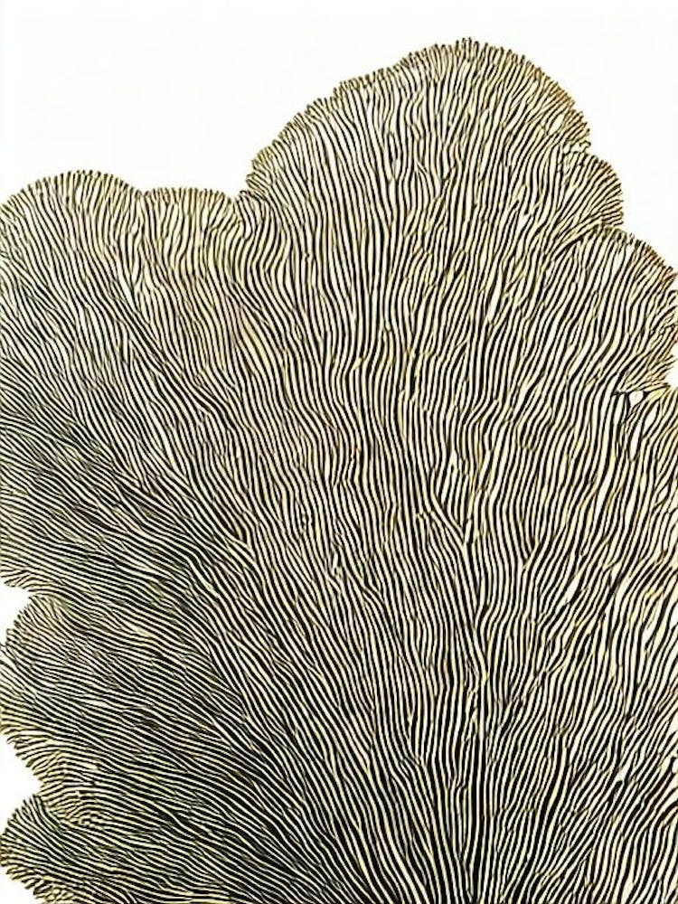Acropora Millepora Iii Linocut