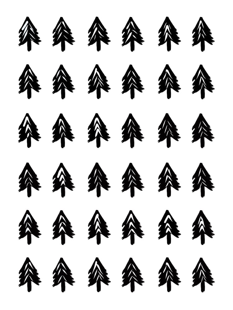 Monochrome Woodland Trees Black and White