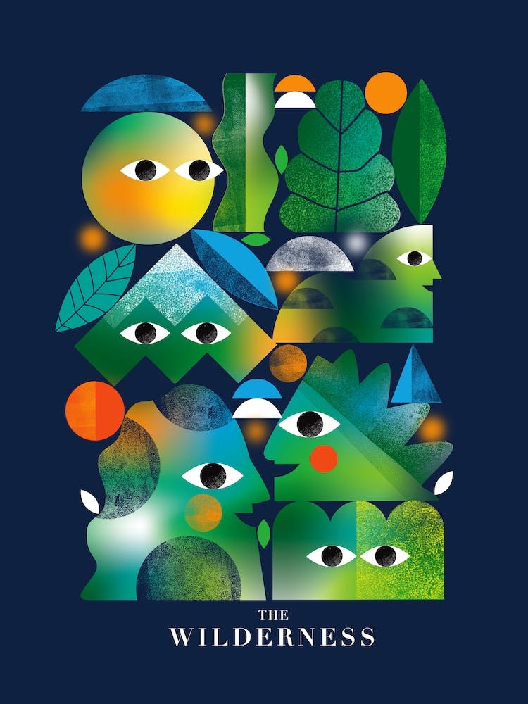 The Wilderness