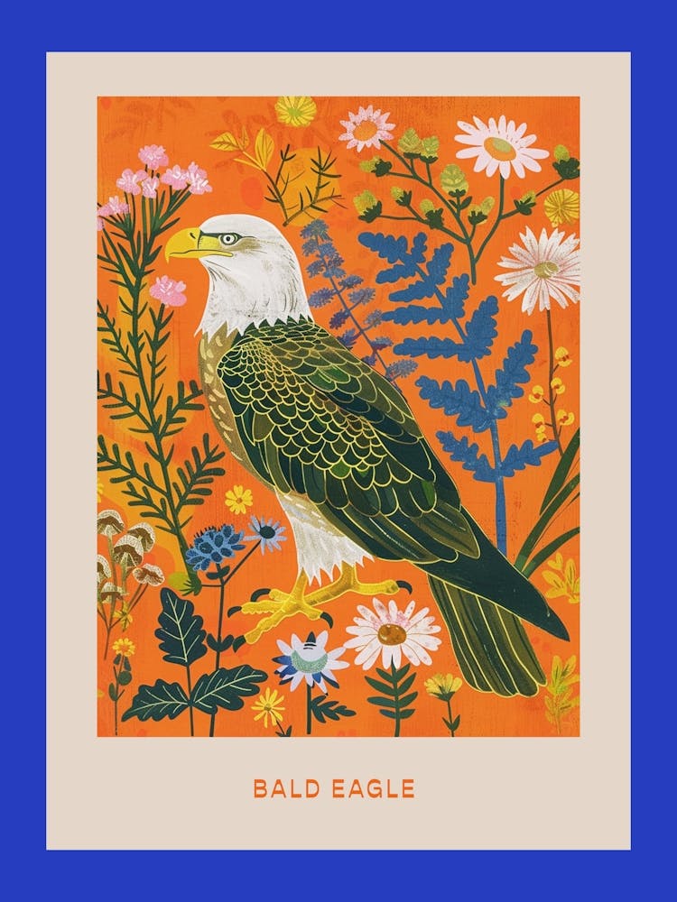 Spring Birds Poster Bald Eagle 1