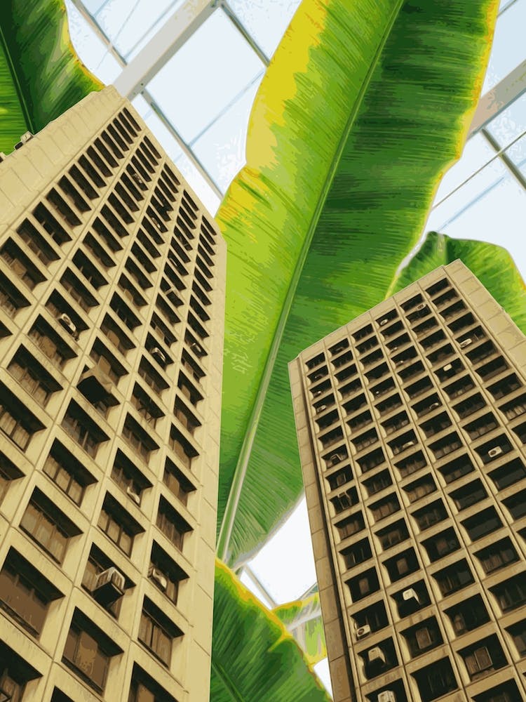 Tropical City