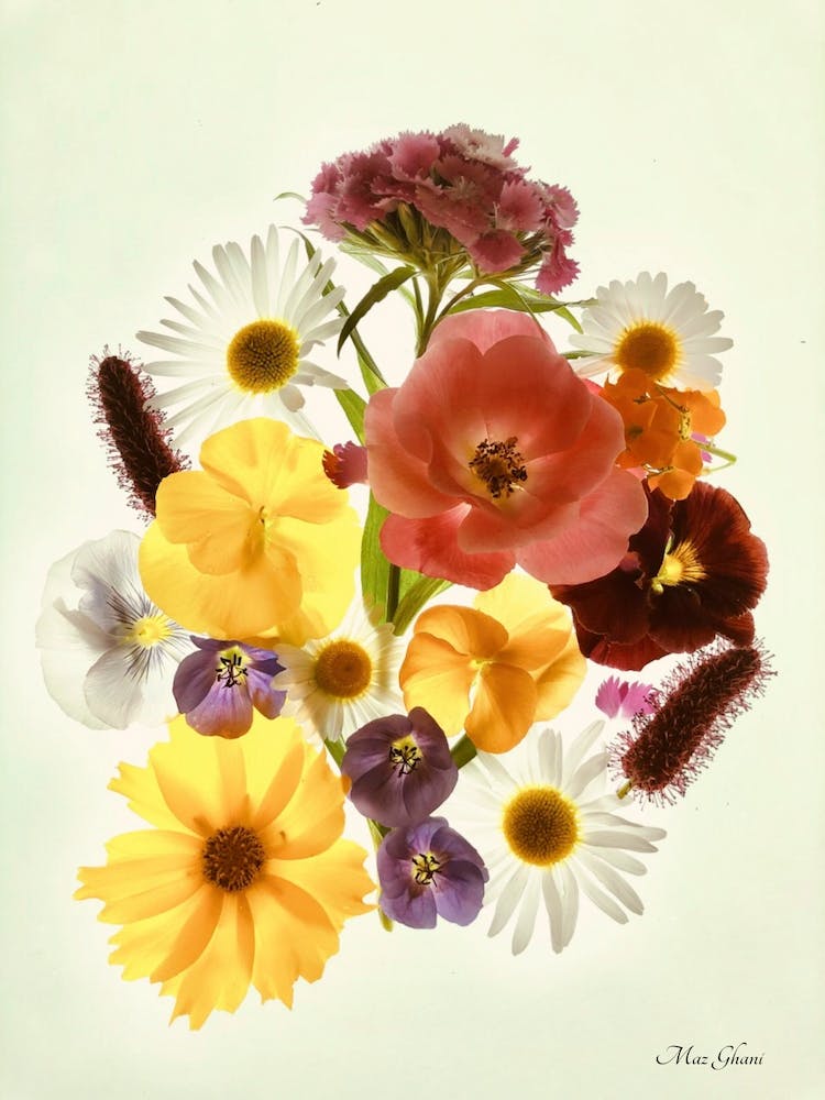 Khloris Botanical
