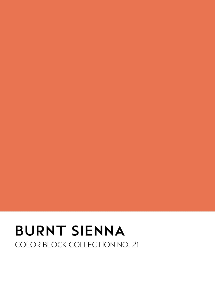 Burnt Sienna Color Block Collection Wall