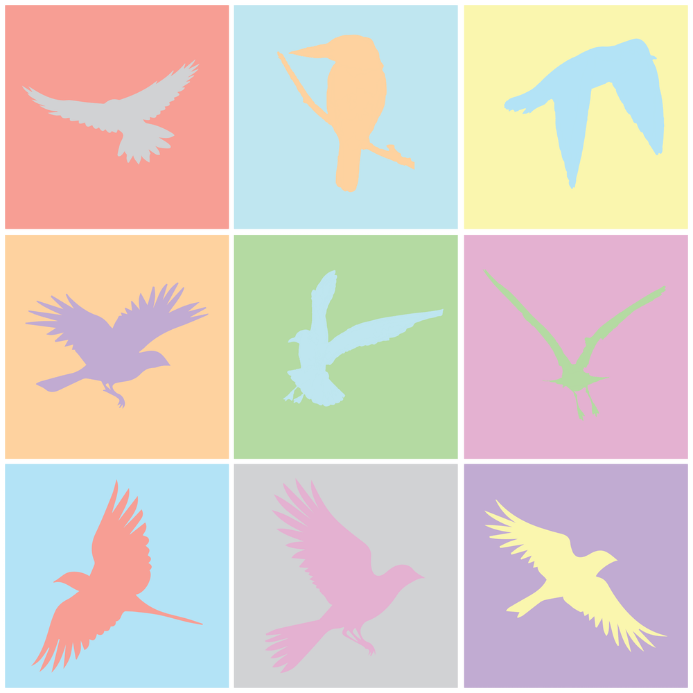 Birds In Flight