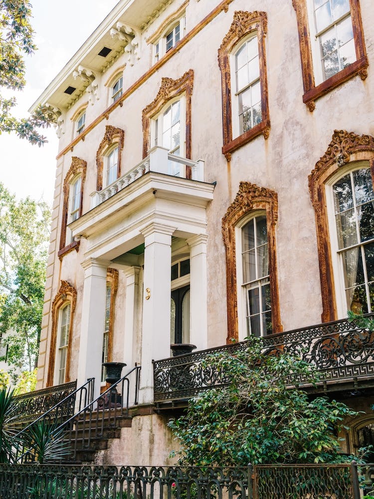 Savannah VII