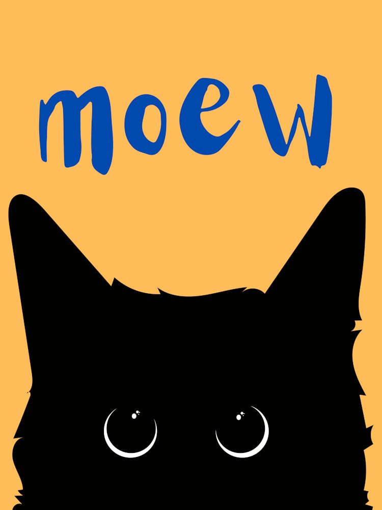 Moew black cat 1
