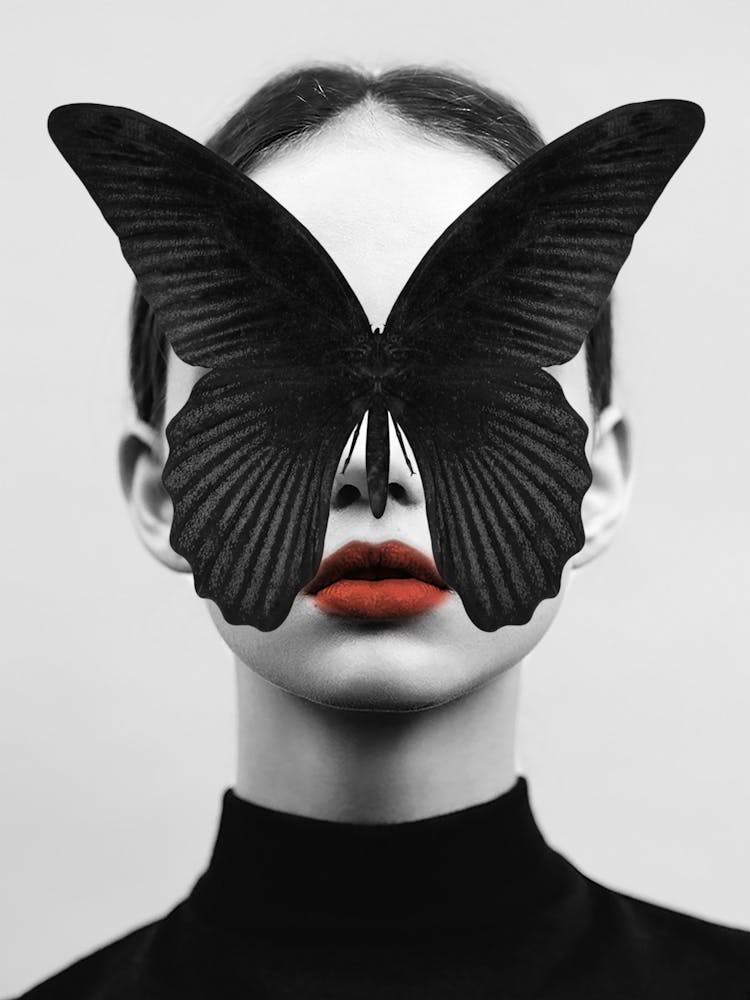 Schwarzer Schmetterling