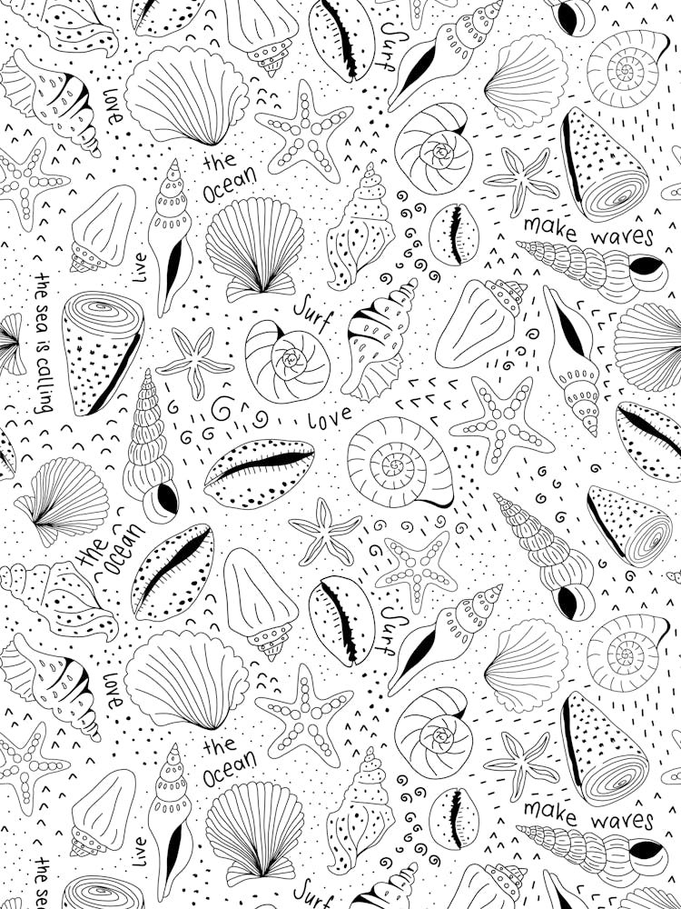 Scattered Seashells and Surfer Lingo Black and White Line Art