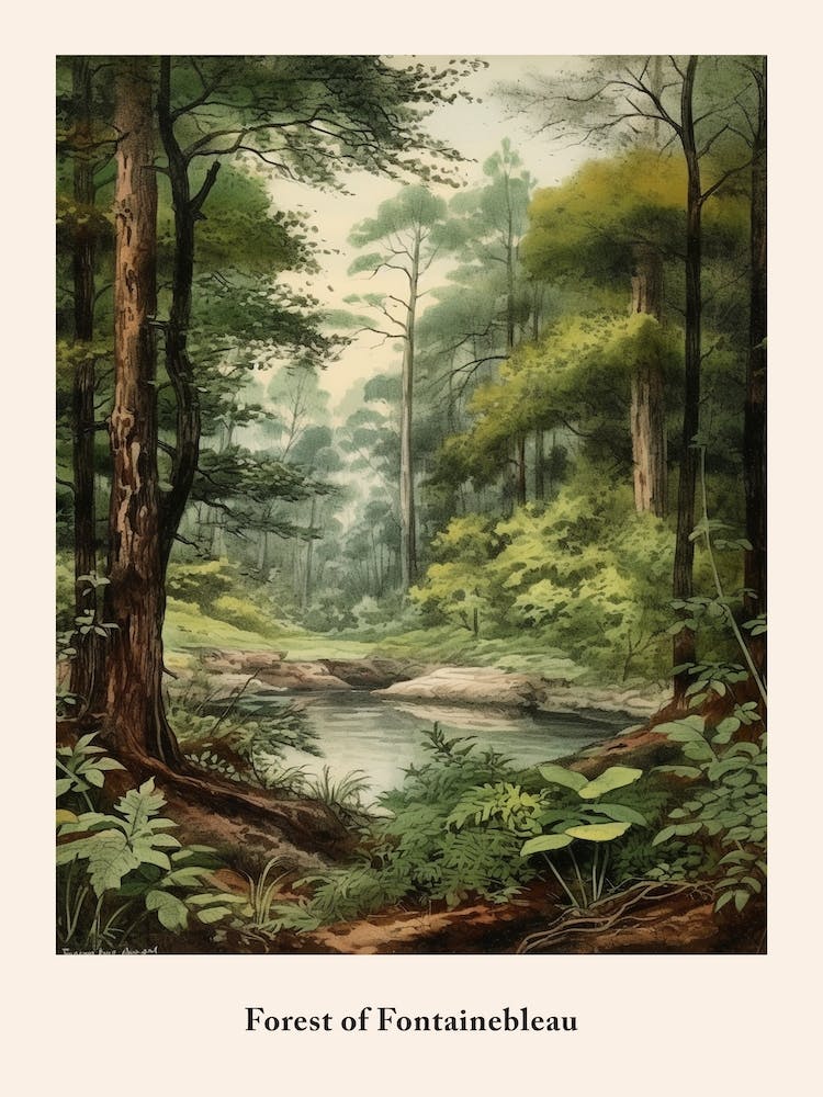 Forest Of Fontainebleau