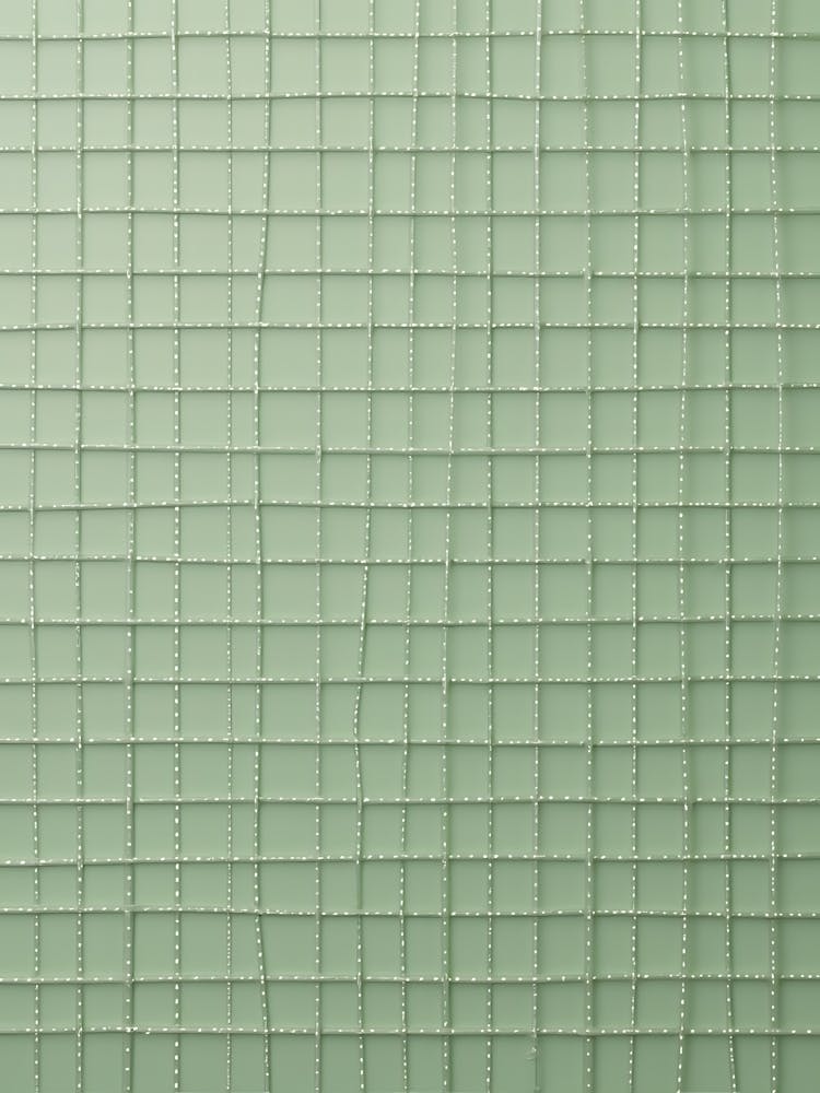 Minimalist Sage Petal Spread