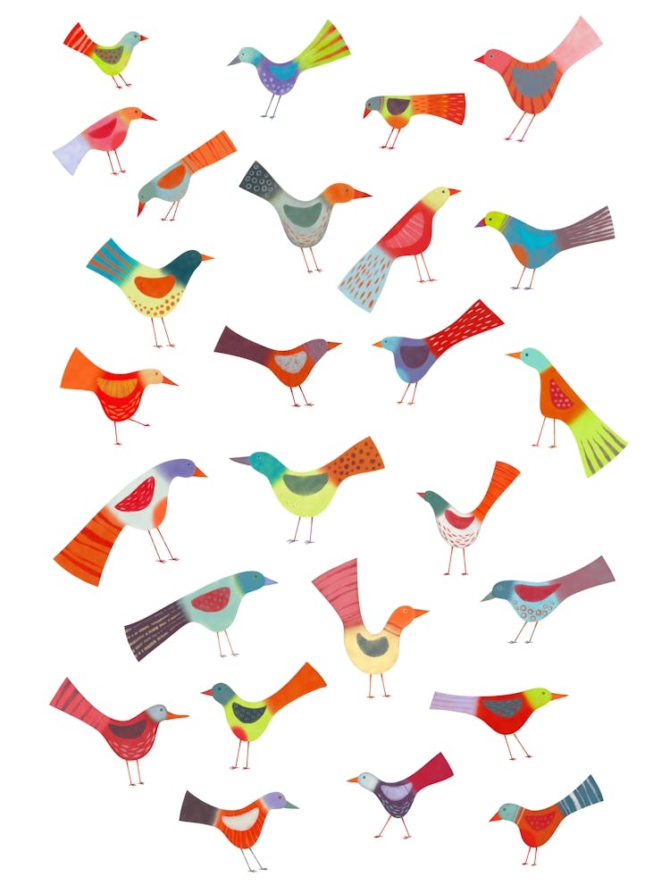 Rainbow Birds Doing Bird Things