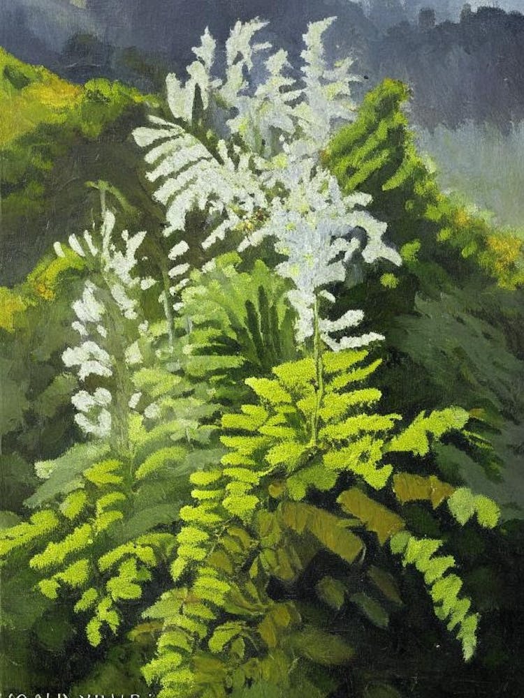 Mountain Spleenwort Cézanne Style