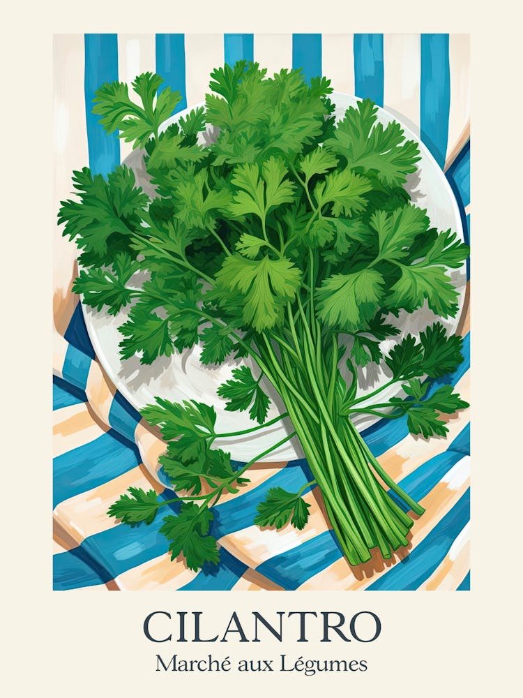Marche Aux Legumes Cilantro Summer Illustration 4