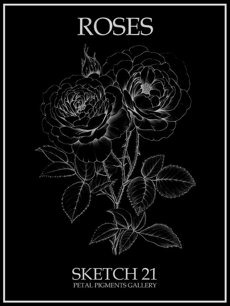 Roses Sketch 21 Poster Inverted