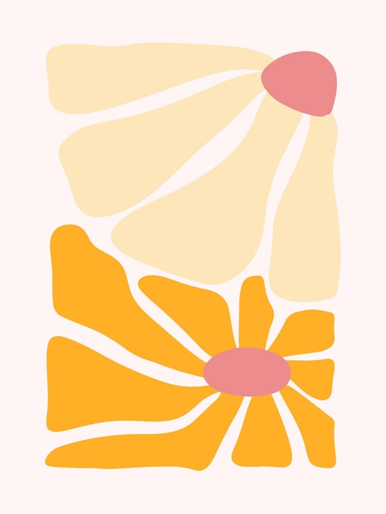 Daisies 2