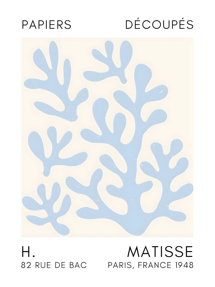 Matisse 35
