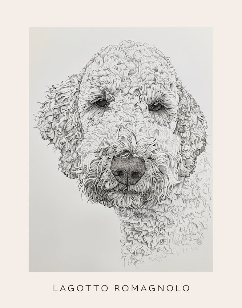 Lagotto Romagnolo Dog Line Sketch 1 Poster