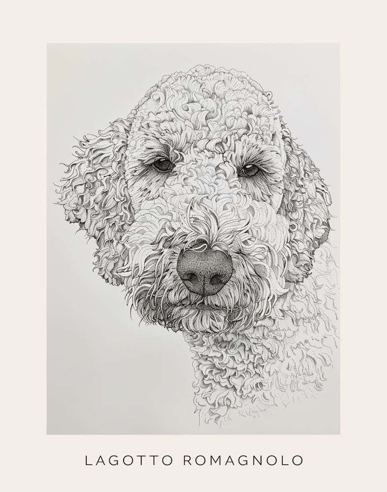 Lagotto Romagnolo Dog Line Sketch 1 Poster