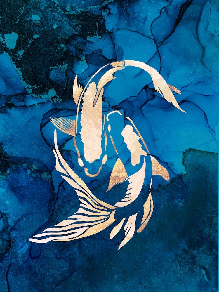 Koi Fish