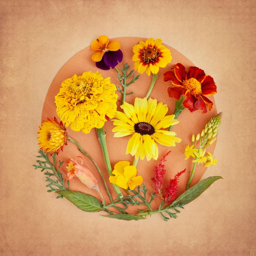 The Secret Garden Saffron