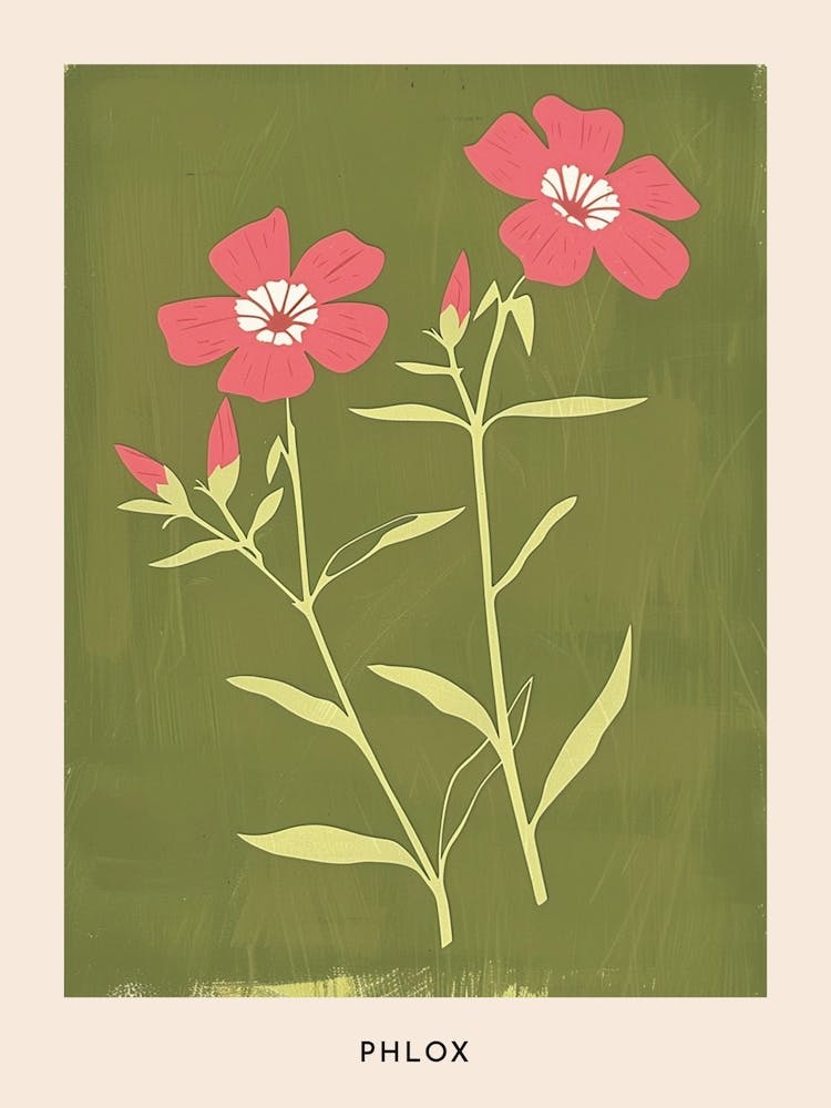 Pink & Green Phlox Flower Poster