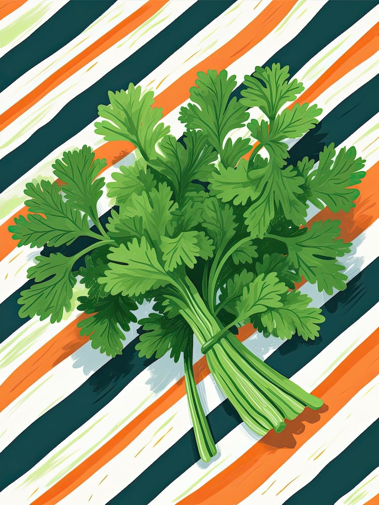 Cilantro Summer Illustration 3