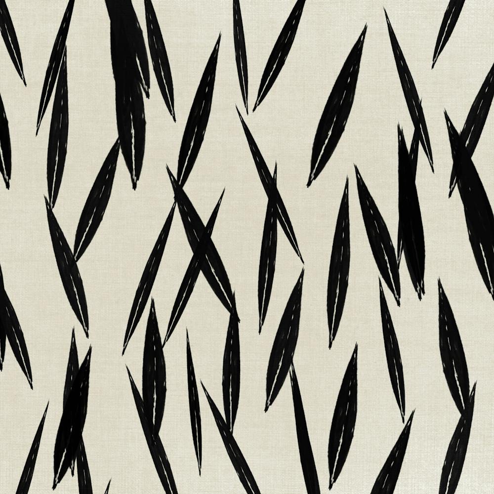 Feuilles Noires Et Blanches