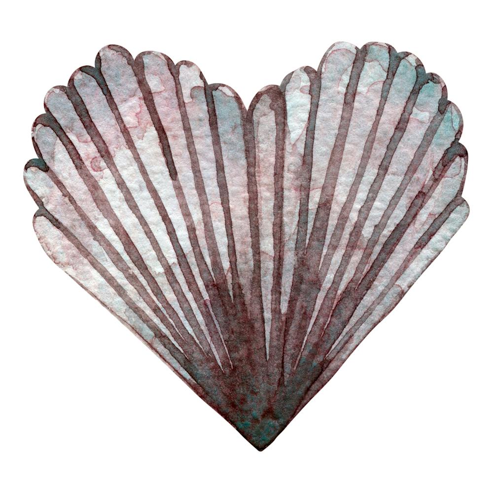 Herz aus Muscheln Aquarell