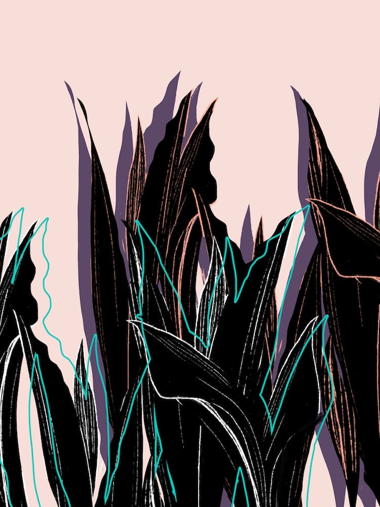Feuilles et Ombres